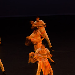 d7k_0995_carrysize_cr_30243681887_o.jpg